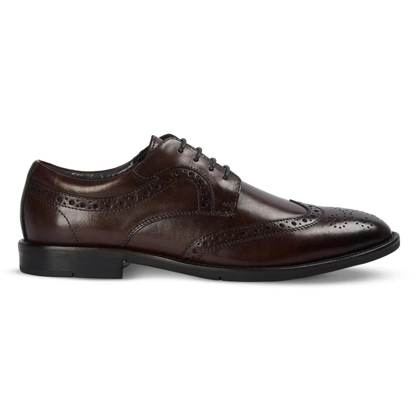 Cambridge - Мъжки тъмнокафяви обувки Derby с броги тип Wingtip
