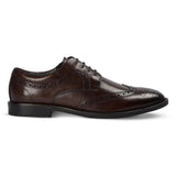 Cambridge - Мъжки тъмнокафяви обувки Derby с броги тип Wingtip