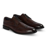 Cambridge - Мъжки тъмнокафяви обувки Derby с броги тип Wingtip