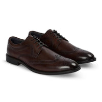 Cambridge - Мъжки тъмнокафяви обувки Derby с броги тип Wingtip
