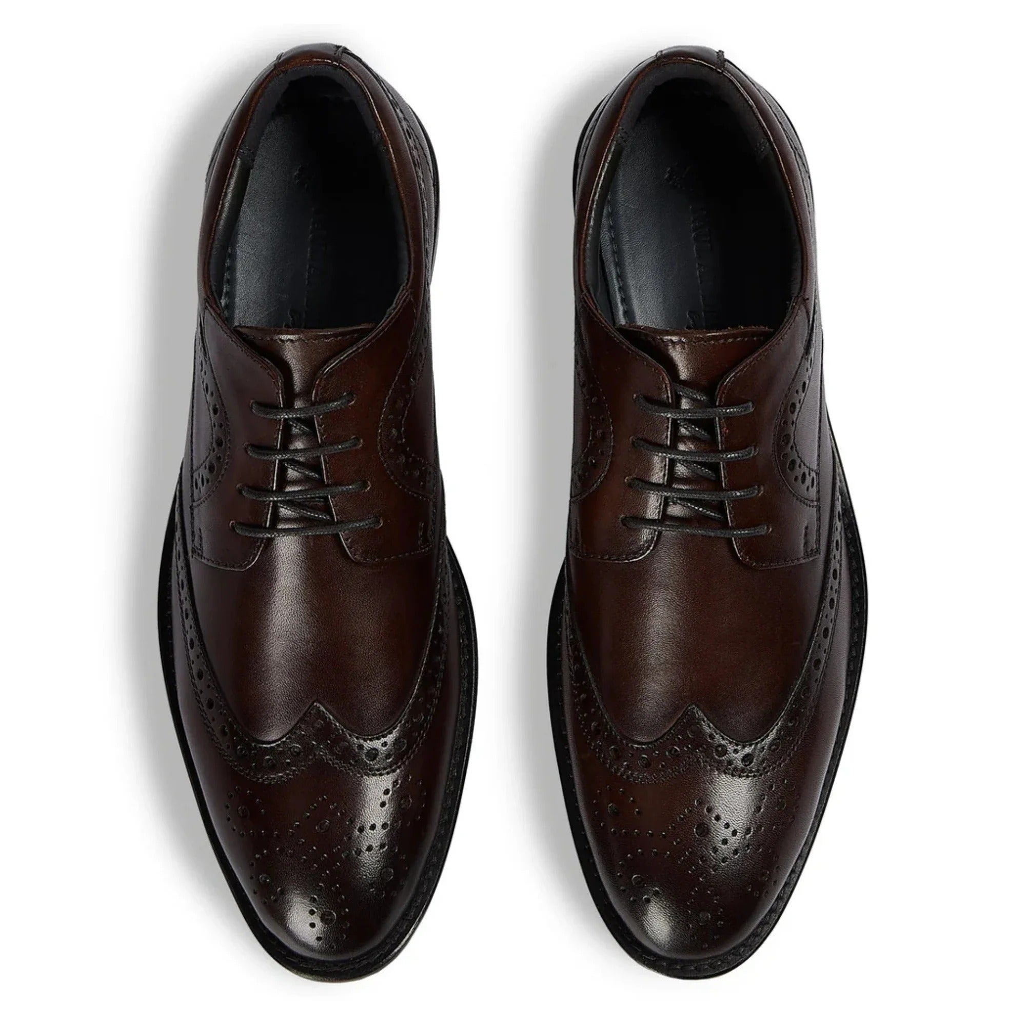 Cambridge - Мъжки тъмнокафяви обувки Derby с броги тип Wingtip